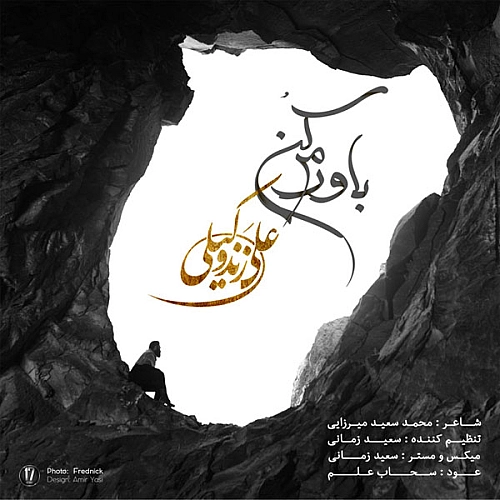 علی زندوکیلی – باورم کن