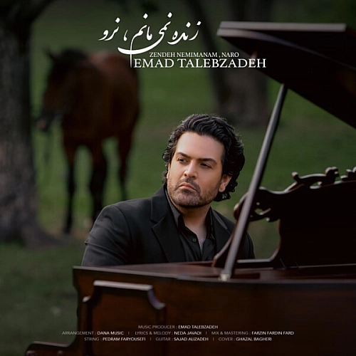 عماد طالب زاده – زنده نمیمانم نرو