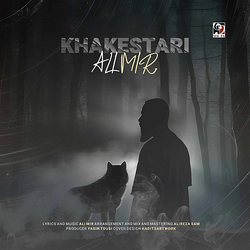 علی میر – خاکستری