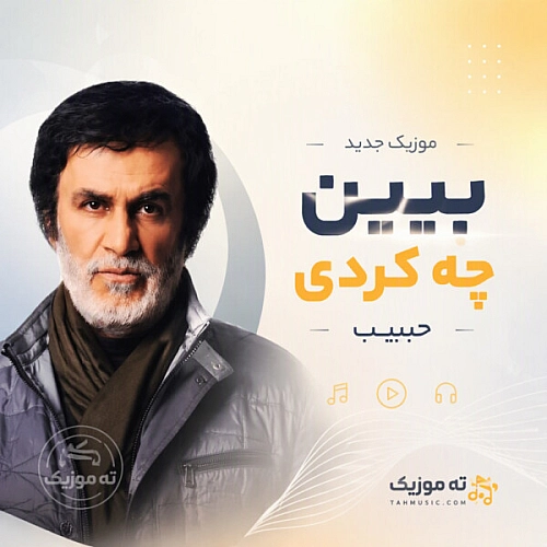 حبیب محبیان – حبیب ببین چه کردی