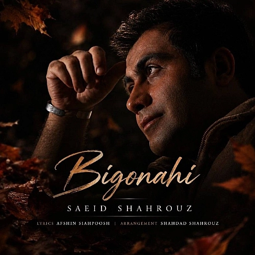 سعید شهروز – بی گناهی